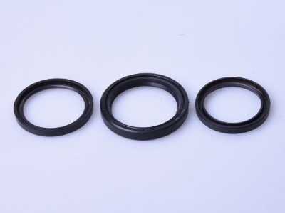 Series of Oil Seal